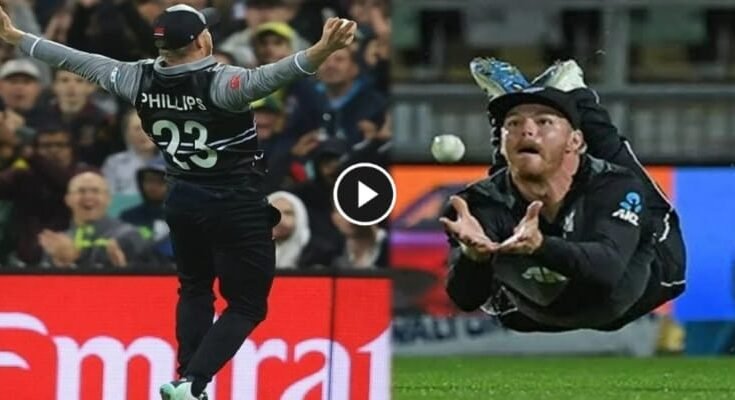 Glenn Phillips took a sensational catch against australia in t20 WC, watch out