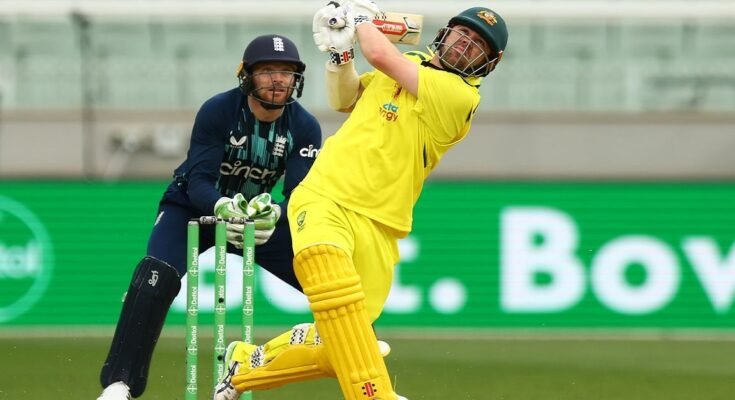 AUS vs ENG: Australia beat T20 world champion England by 221 runs, win ODI series 3-0